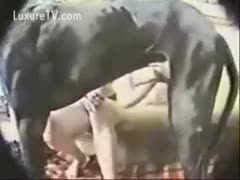 Classic beastiality movie scene featuring a great dane and a older whore